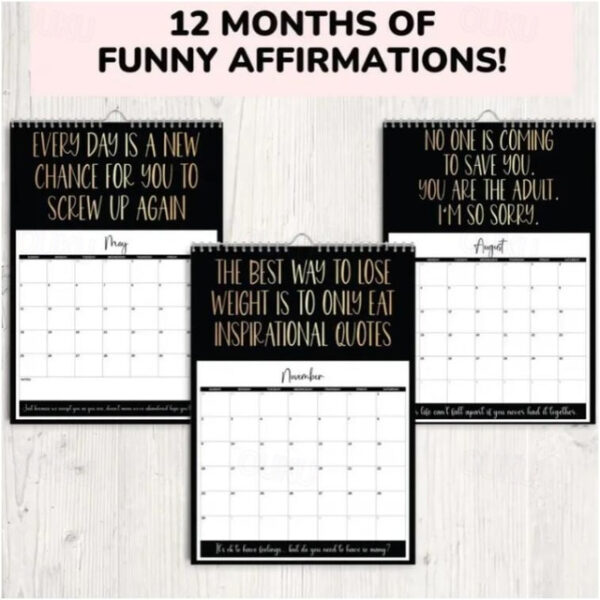 Demotivational Sarcastic Wall Calendar, 2025 Negative Sarcasm Calendar Desk Calendar, Christmas Calendar Gift New Year's Calendar Gift Xmas Gift 2025