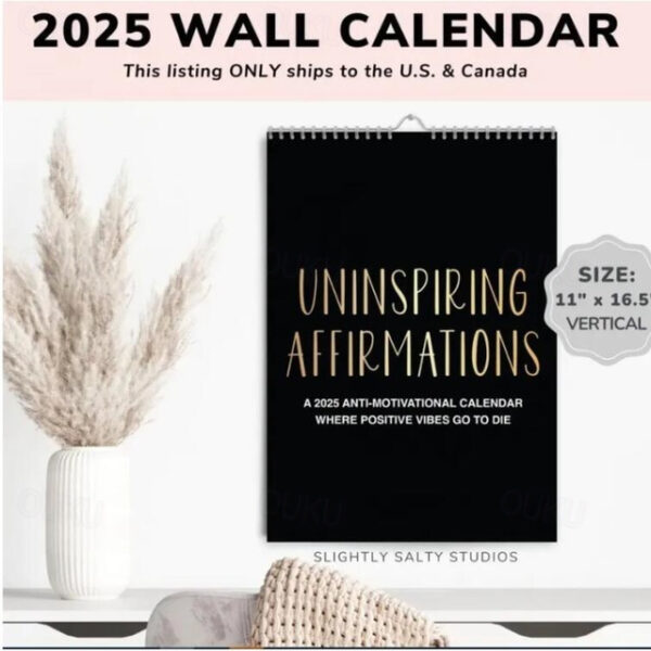 Demotivational Sarcastic Wall Calendar, 2025 Negative Sarcasm Calendar Desk Calendar, Christmas Calendar Gift New Year's Calendar Gift Xmas Gift 2025